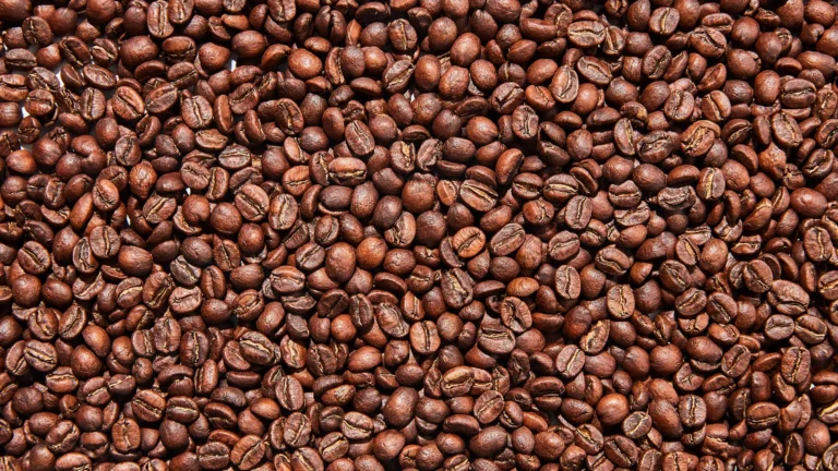 The Best Coffee Beans