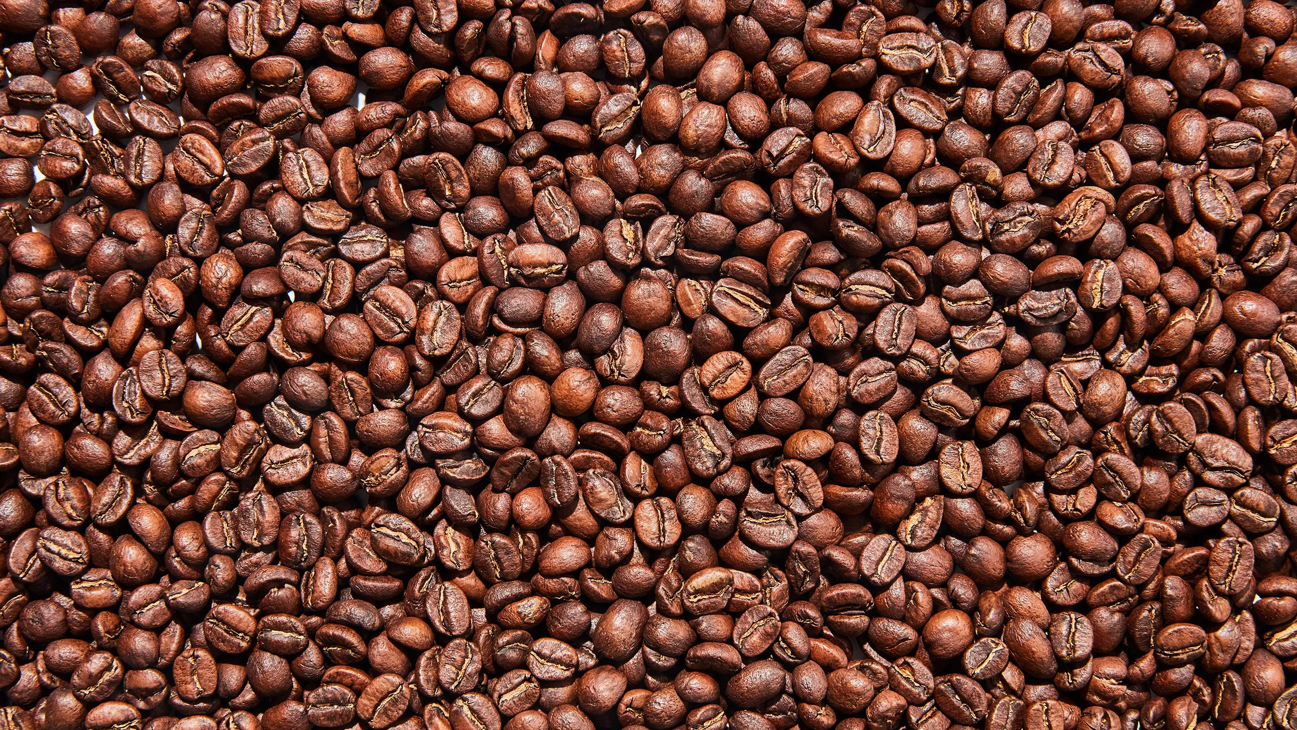 The Best Coffee Beans